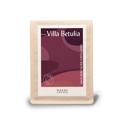 Villa Betulia