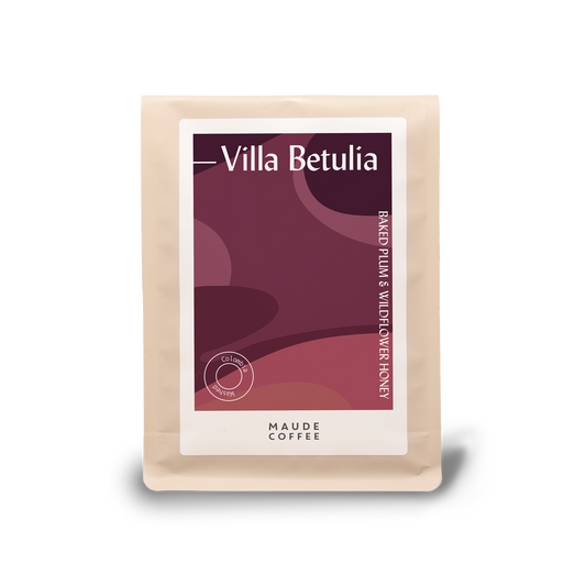 Villa Betulia