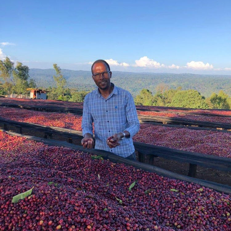 Cup of Excellence 2020 #18 Winner - Natural Process, Ethiopia - Tagel Alemayehu Aferu - 200g